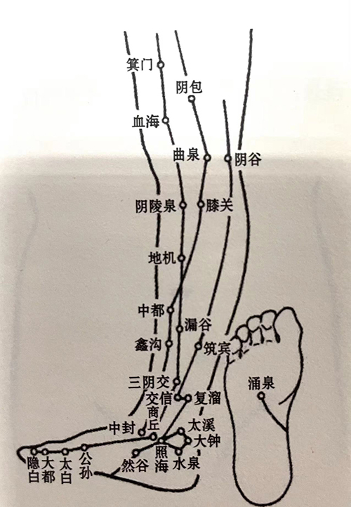 一个血海穴，足以帮你调理整个月经周期